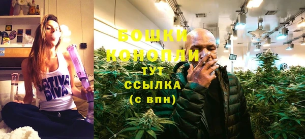 jwh Сясьстрой