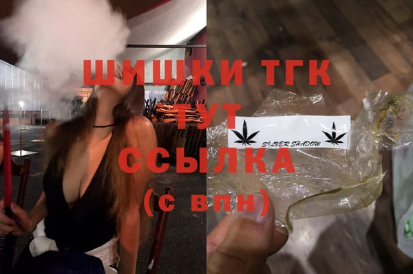 дживик Вяземский