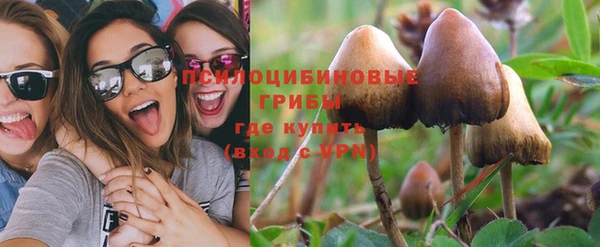 mdpv Тайга