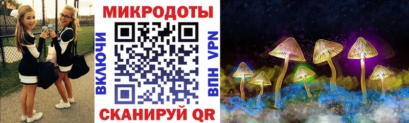 Галлюциногенные грибы Psilocybe  хочу наркоту  Гусь-Хрустальный 
